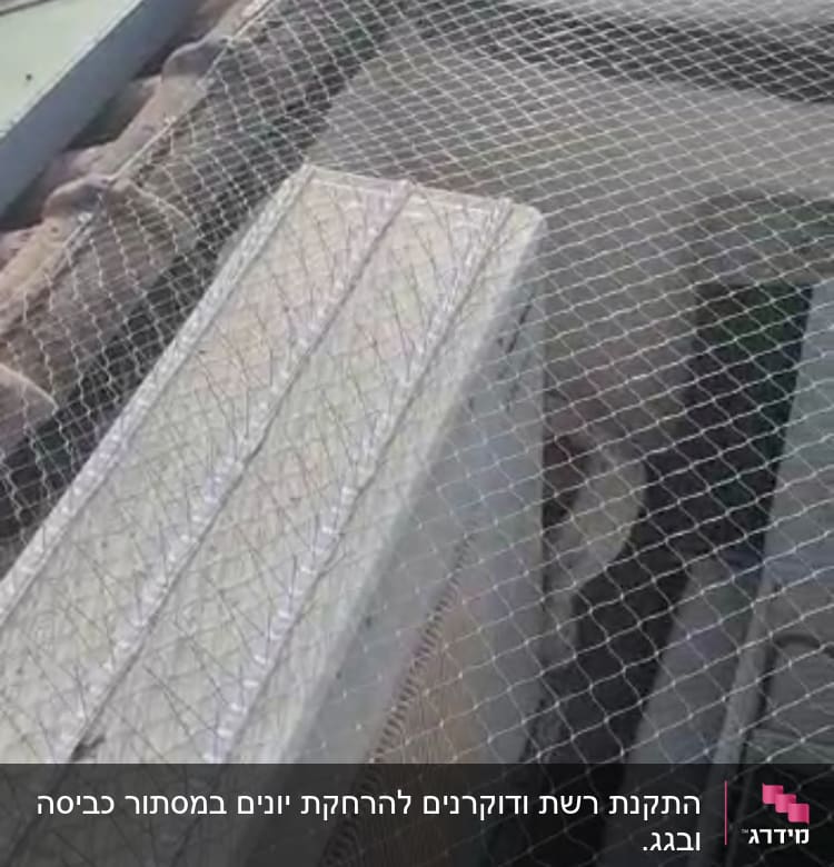רשת מתוחה על גג למניעת כניסת יונים
